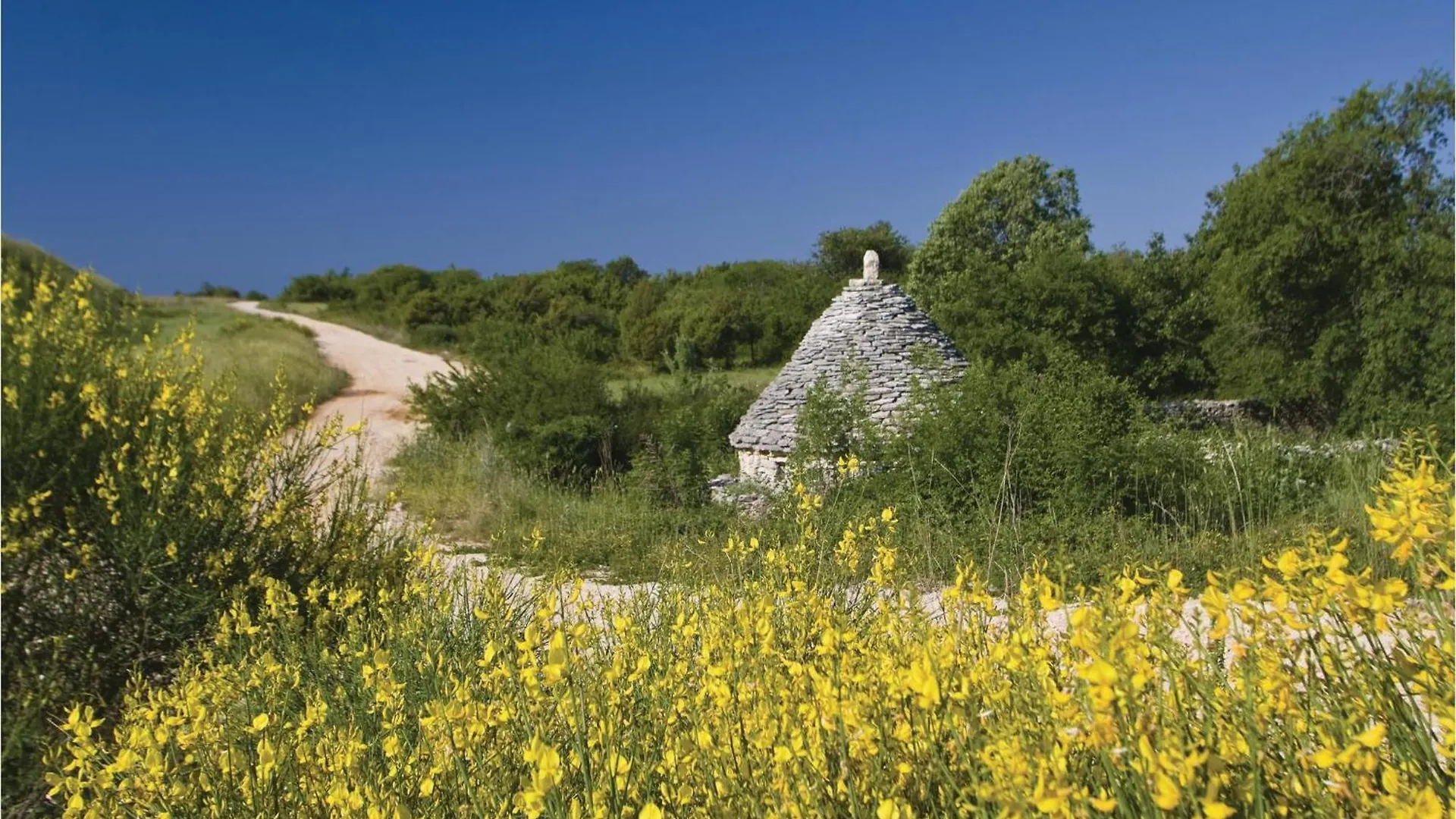 Holiday home 2 Bedroom Beautiful Home In Barban Croatia